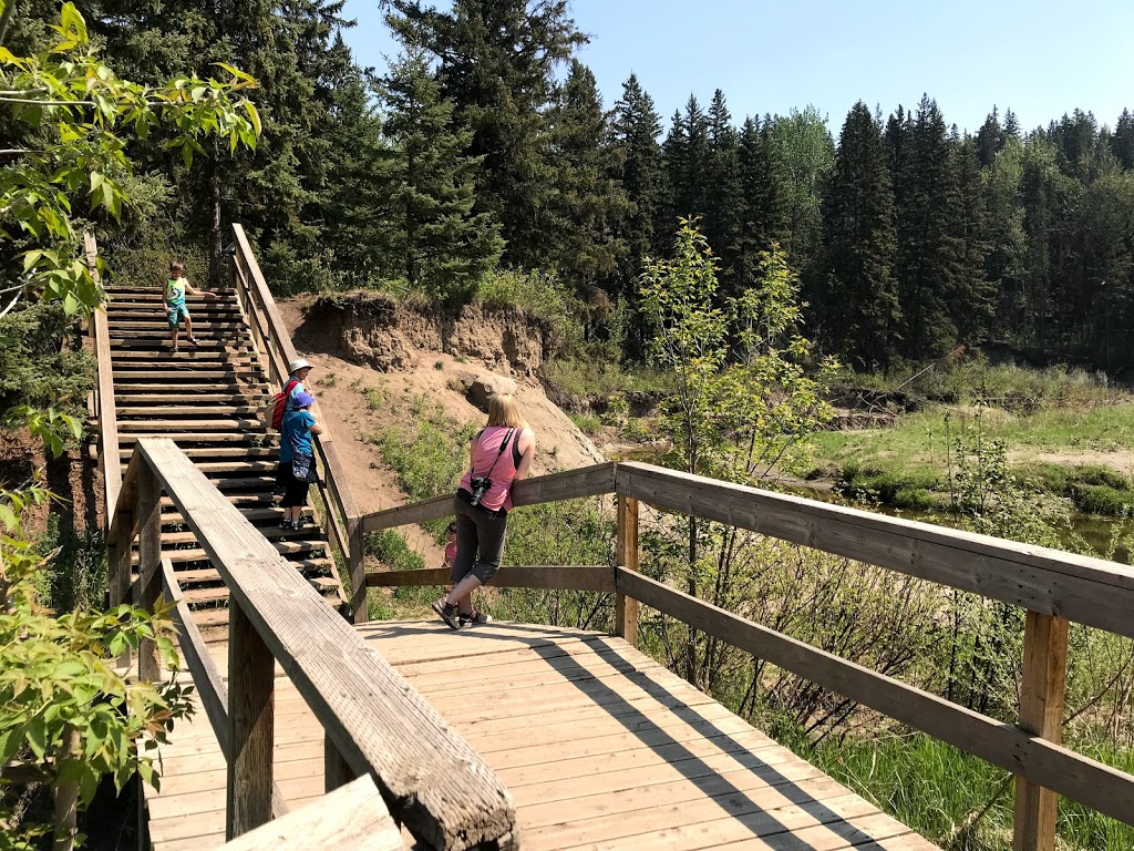 Whitemud Creek Stairs #250 | Unnamed Road, Edmonton, AB T6J 2C8, Canada