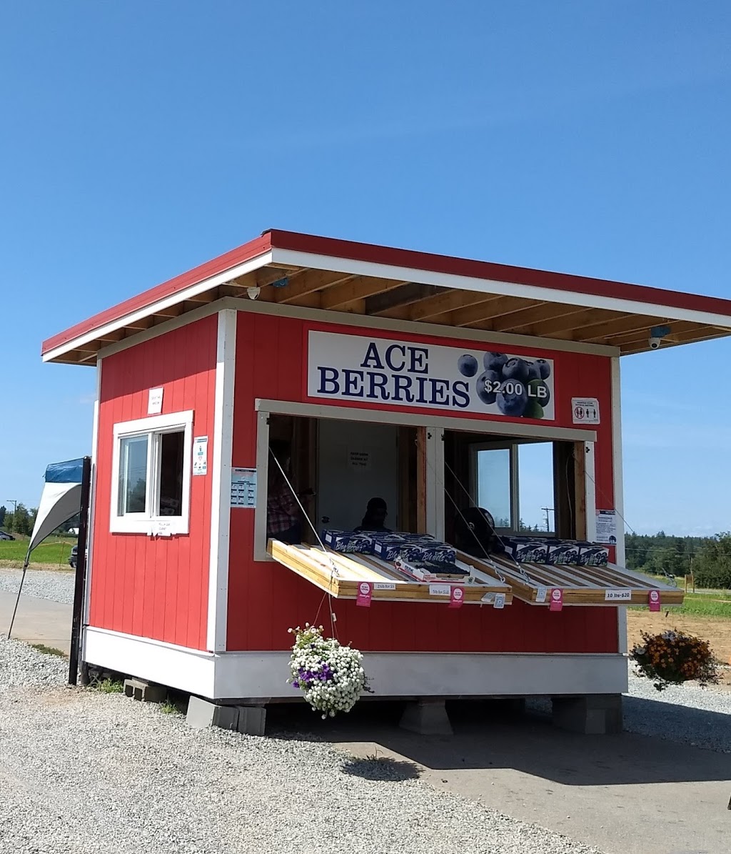 Ace Berries Fruit Stand | Langley Twp, BC V4W 2S1, Canada | Phone: (604) 825-4611