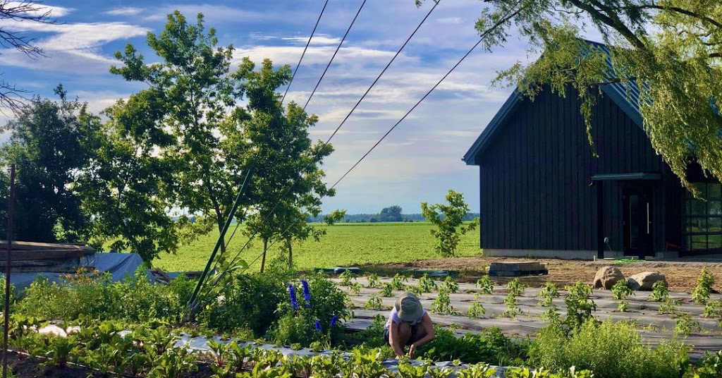 Bika Ferme & Cuisine | 980 Chemin du Grand-Bernier, Saint-Blaise-sur-Richelieu, QC J0J 1W0, Canada | Phone: (514) 243-2447