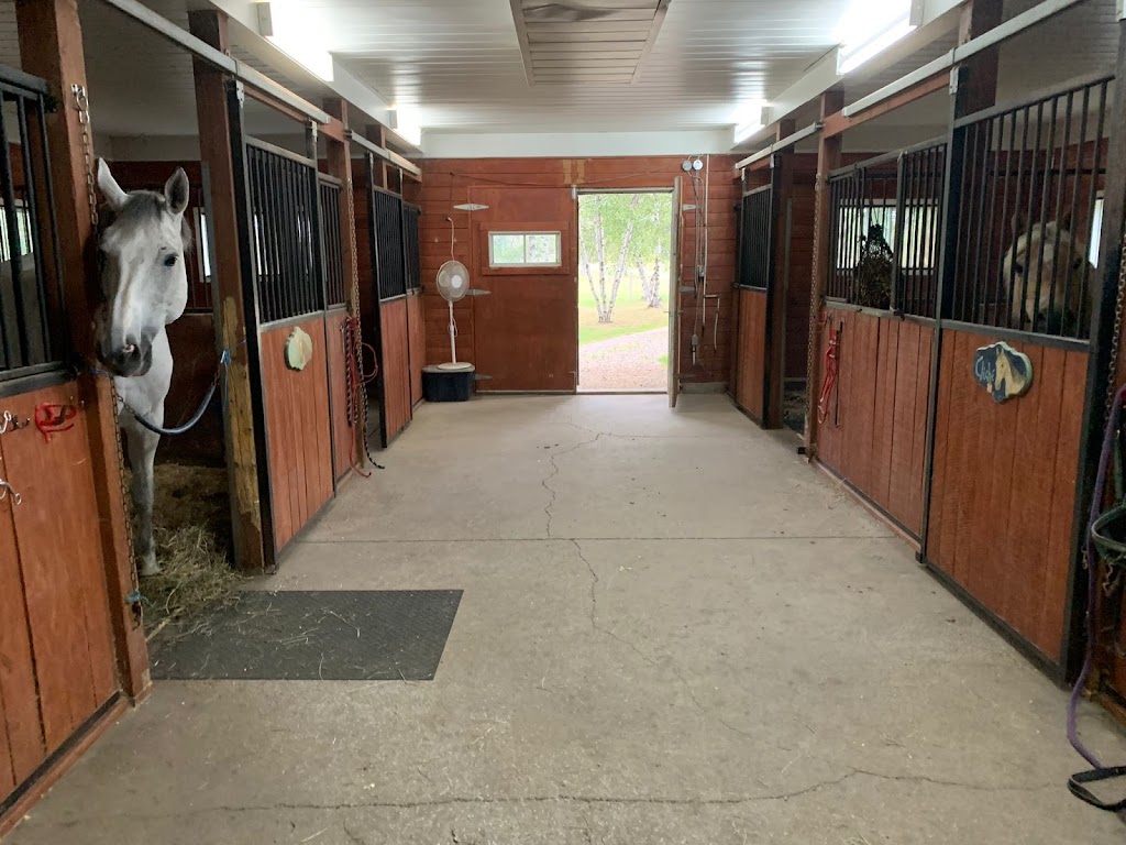 Ecuries DC Stables | 4300 Mnt Ste Angelique, Saint-Lazare, QC J7T 2N5, Canada | Phone: (438) 988-0008