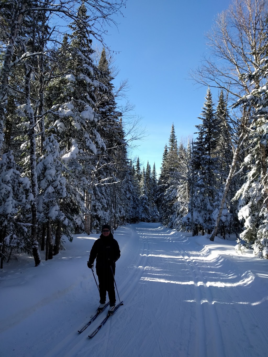 Sentier des Caps de Charlevoix - Acceuil Chalevoix | Chemin du Massif, Petite-Rivière-Saint-François, QC G0A 2L0, Canada | Phone: (418) 435-4163