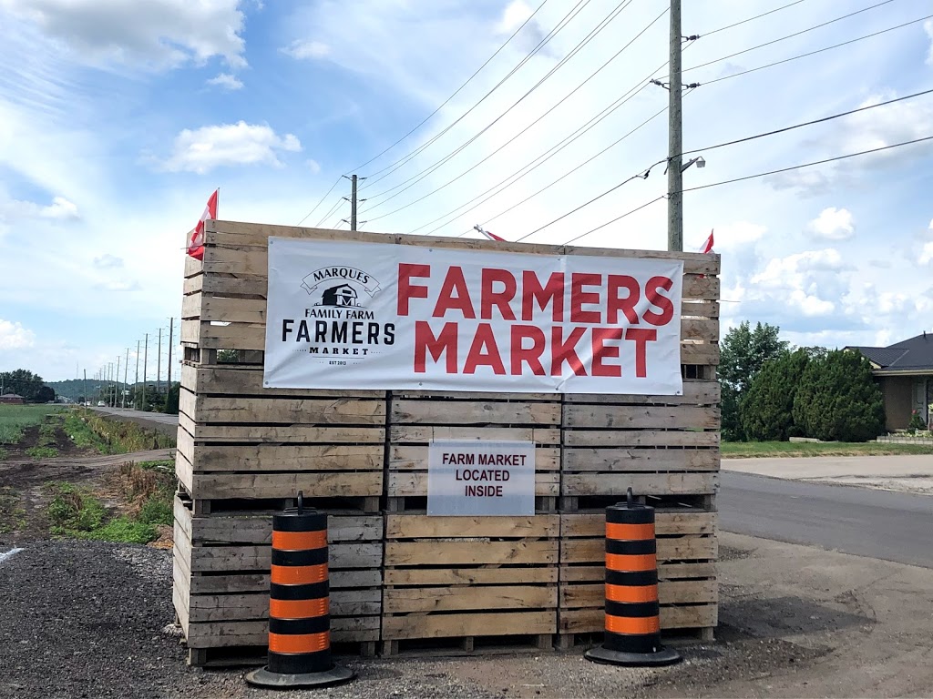 Marques Family Farm | 365 King St, Newmarket, ON L3Y 4V9, Canada | Phone: (289) 552-3526