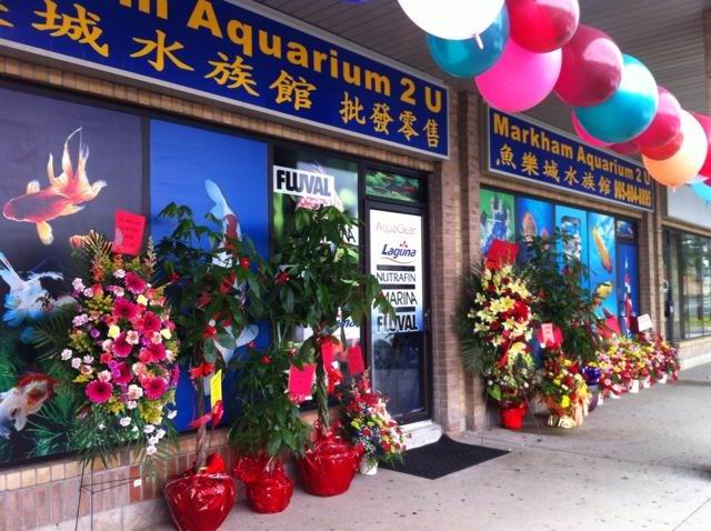 Markham Aquarium 2 U | 5 Hillcroft Dr, Markham, ON L3S 1R6, Canada | Phone: (905) 604-8895