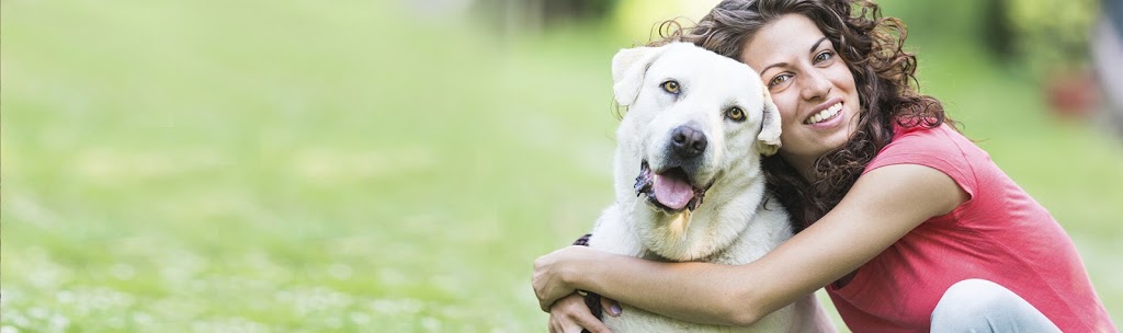 Clinique Vétérinaire Des Petits Animaux De LEstrie | 155 Rue Sauvé, Sherbrooke, QC J1L 1L6, Canada | Phone: (819) 821-1161