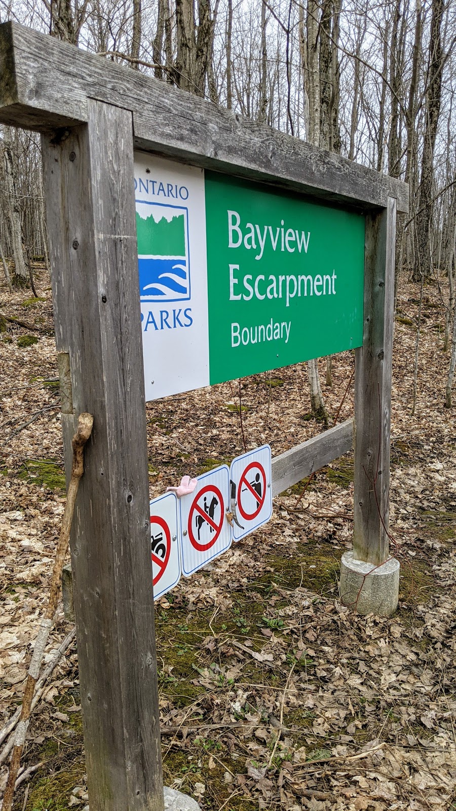 Bayview Escarpment Provincial Nature Reserve | Owen Sound, ON N4K 5W4, Canada | Phone: (519) 389-9056