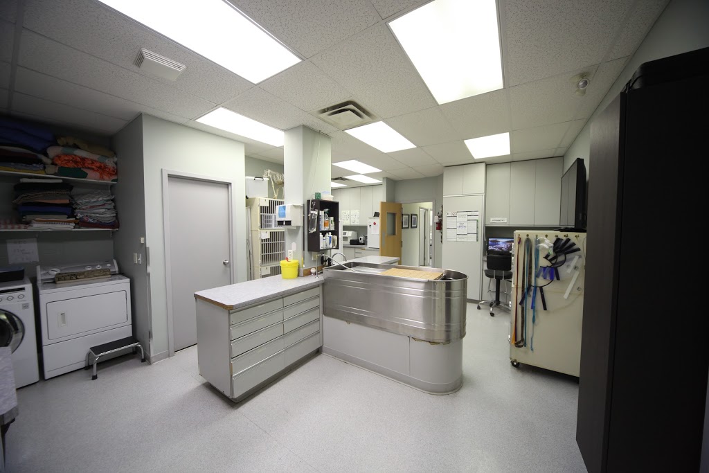 Terra Losa Animal Clinic | 17248 95 Ave NW, Edmonton, AB T5T 6P1, Canada | Phone: (780) 484-1178