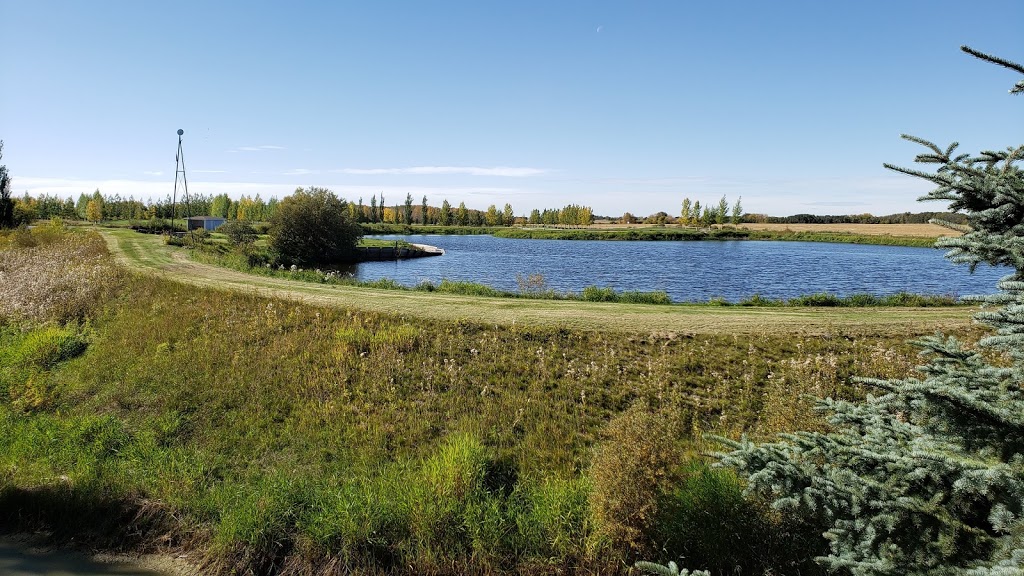 Silver Creek Golf Course | 45314 AB-21, New Norway, AB T0B 3L0, Canada | Phone: (780) 855-3982