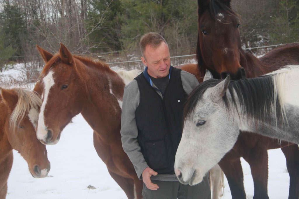 Unity Horsemanship | 32 Goodrich Rd, Codrington, ON K0K 1R0, Canada | Phone: (613) 438-9642