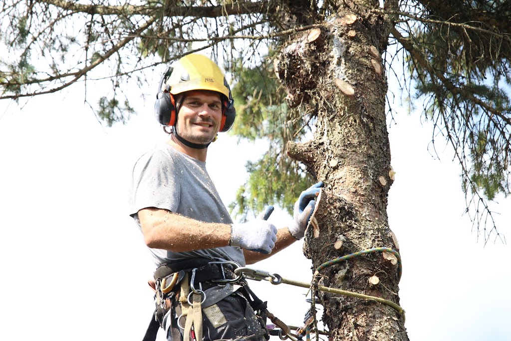 Dickies Tree and Shrub Care | 75 Townline, Orangeville, ON L9W 1V7, Canada | Phone: (905) 587-1587