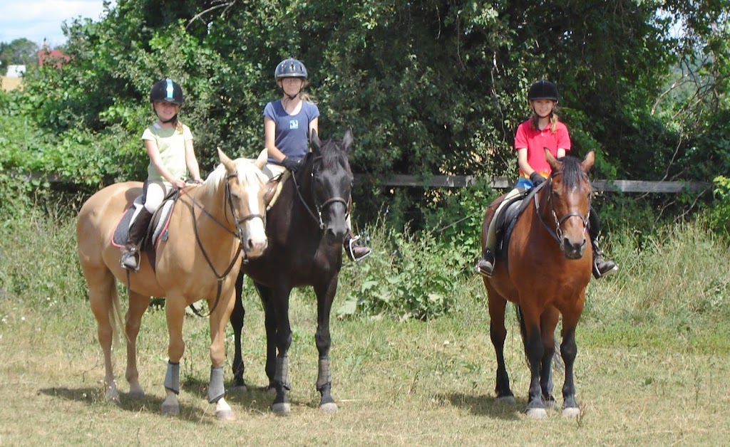 Cantercall Riding School | 993196 Mono Adjala Townline, Mono, ON L9W 6H3, Canada | Phone: (416) 892-3612