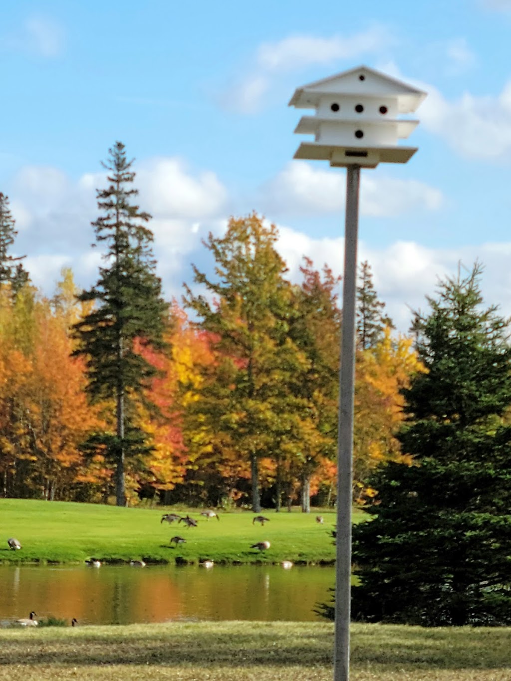 Avondale Golf Course | 586 Avondale Rd, Vernon Bridge, PE C0A 2E0, Canada | Phone: (866) 651-2380
