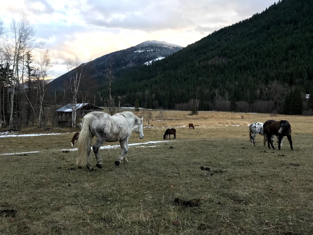 Epona Rise Retreat Center @ Tod Mountain Cabins | 3968 Heffley Louis Creek Rd, Heffley Creek, BC V0E 1Z1, Canada | Phone: (250) 578-0226