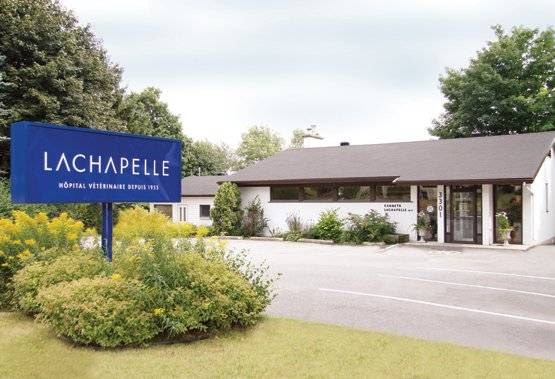 Hôpital Vétérinaire Lachapelle | 3301 Chemin Saint-Louis, Québec, QC G1W 1S1, Canada | Phone: (418) 653-2858