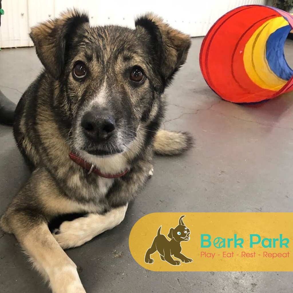 Bark Park Sylvan Lake | 12 Erickson Crescent, Sylvan Lake, AB T4S 1P5, Canada | Phone: (877) 477-5597