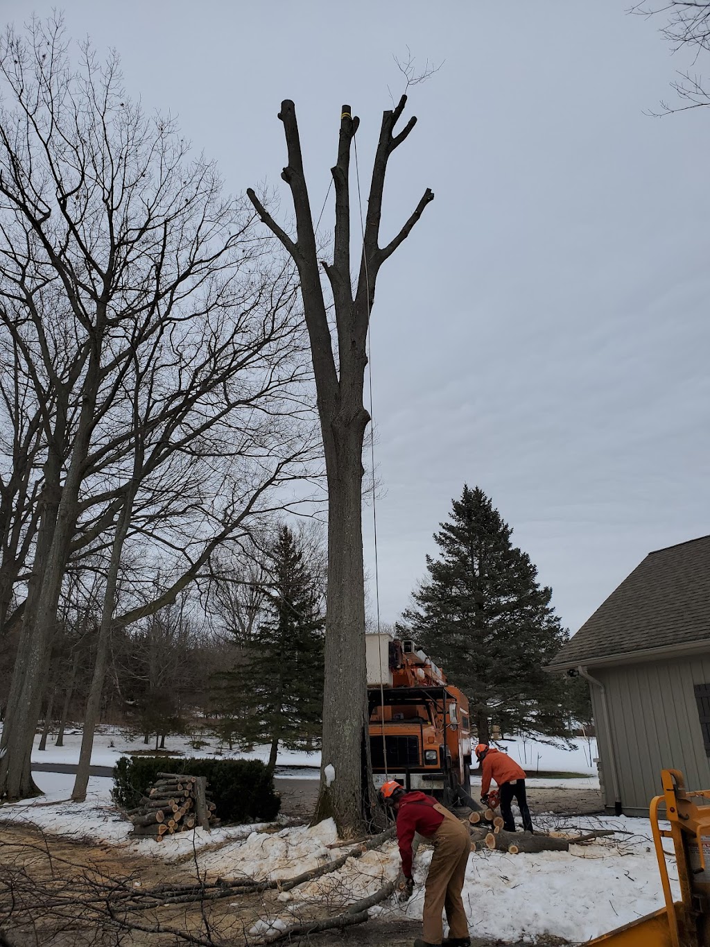 Black River Tree Service | 362 County Rd 4, Picton, ON K0K 2T0, Canada | Phone: (613) 813-3390
