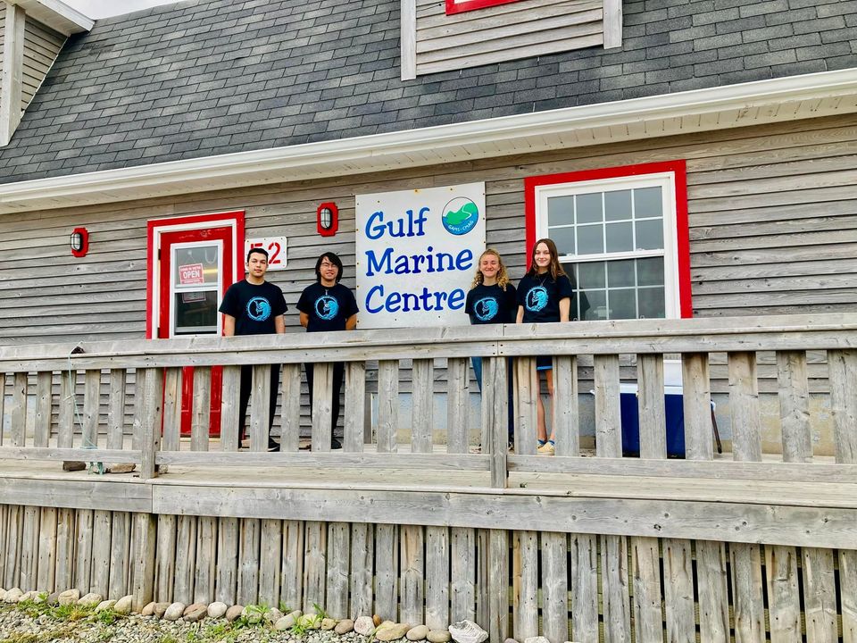 Gulf Aquarium and Marine Station Cooperative (GAMS) | 52 Old Cabot Trail Rd, Grand Étang, NS B0E 1L0, Canada | Phone: (902) 224-1623