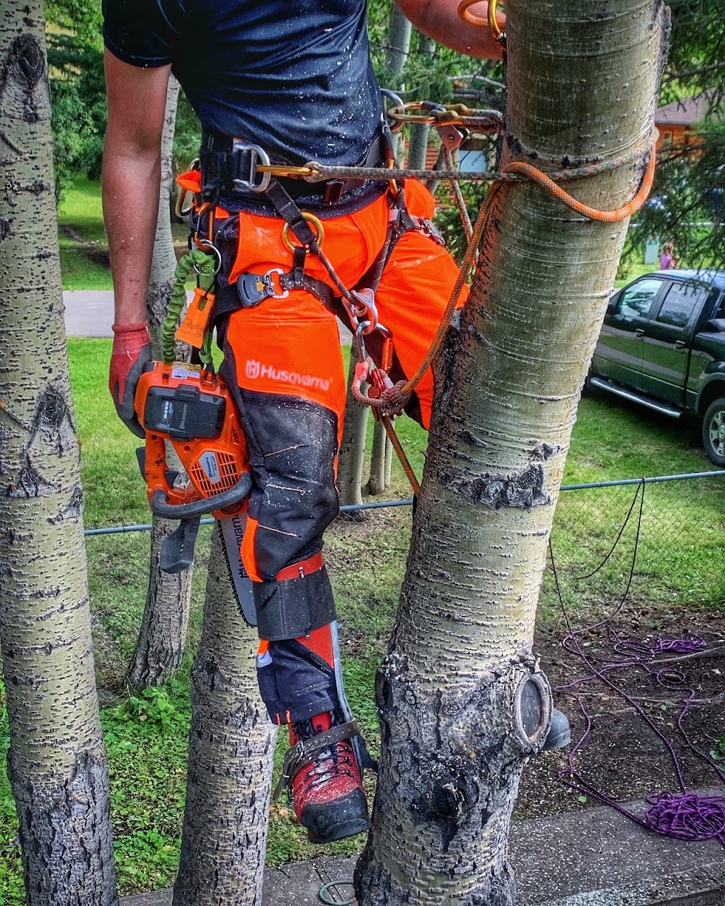 COCHRANE TREE CARE | Local Arborist | Heritage View, Cochrane, AB T4C 0G4, Canada | Phone: (403) 816-8733