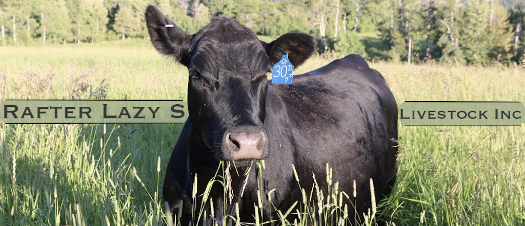 Rafter Lazy S Livestock INC | Box 4, 4 St W Site 4, Cardston, AB T0K 0K0, Canada | Phone: (403) 892-5049