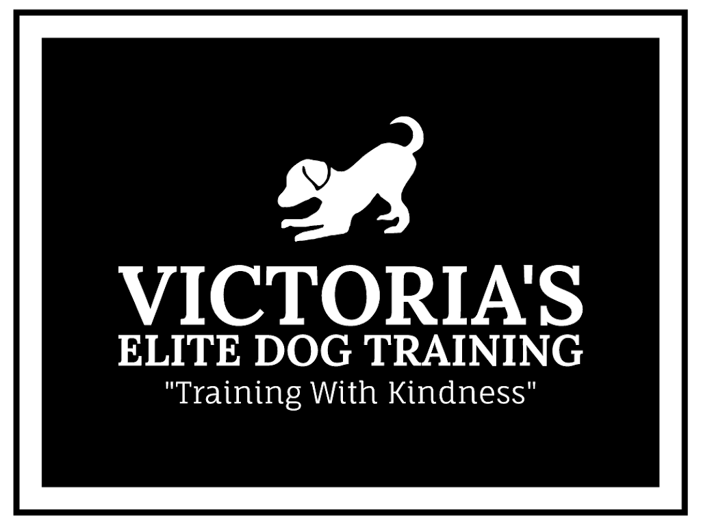 Victorias Elite Dog Training Services | 4095 Shelbourne St, Victoria, BC V8N 5Y1, Canada | Phone: (250) 812-8313