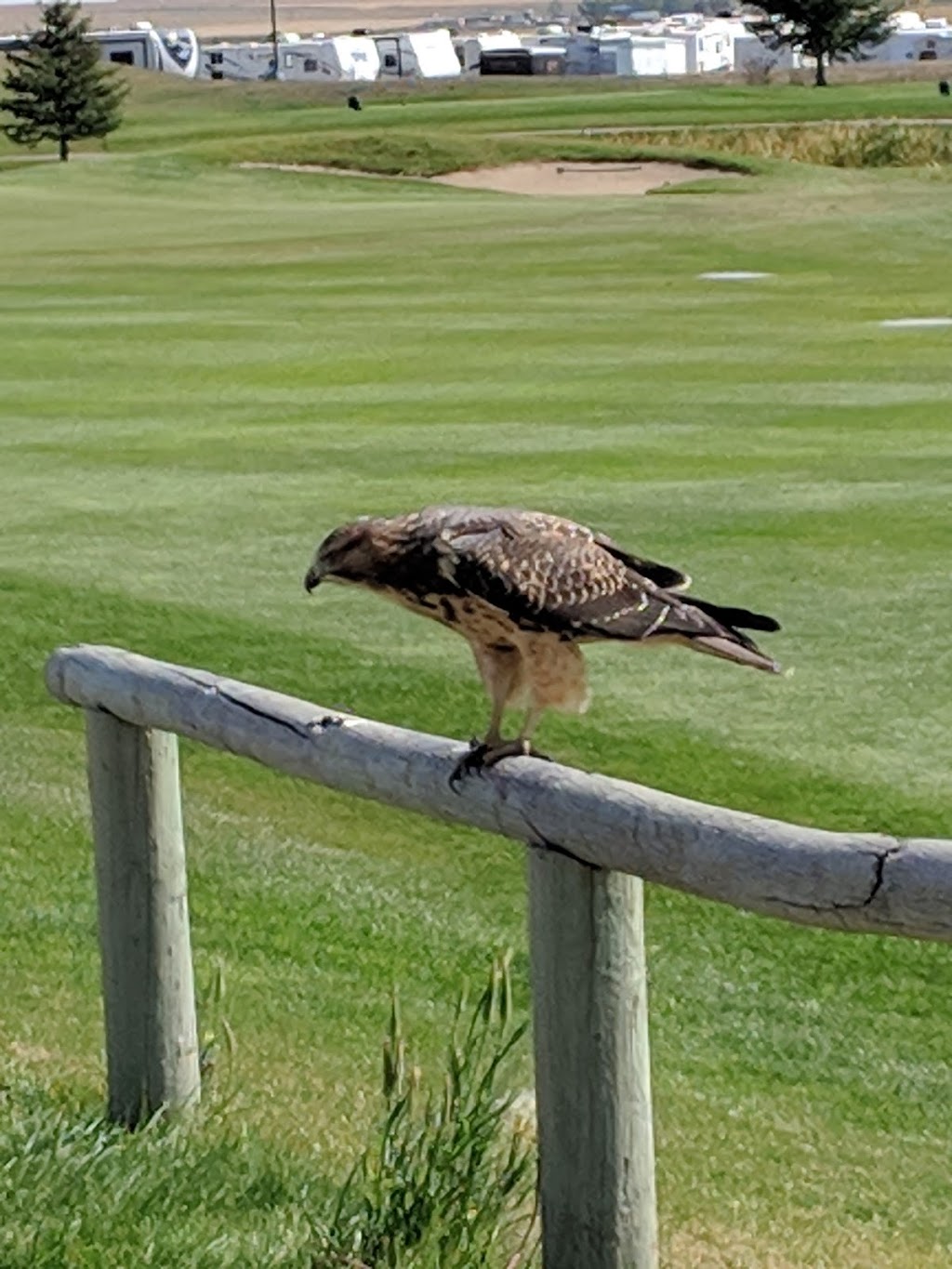 Rivers Edge Golf Club | 370137 64 St E, Okotoks, AB T1S 1A5, Canada | Phone: (403) 938-4200