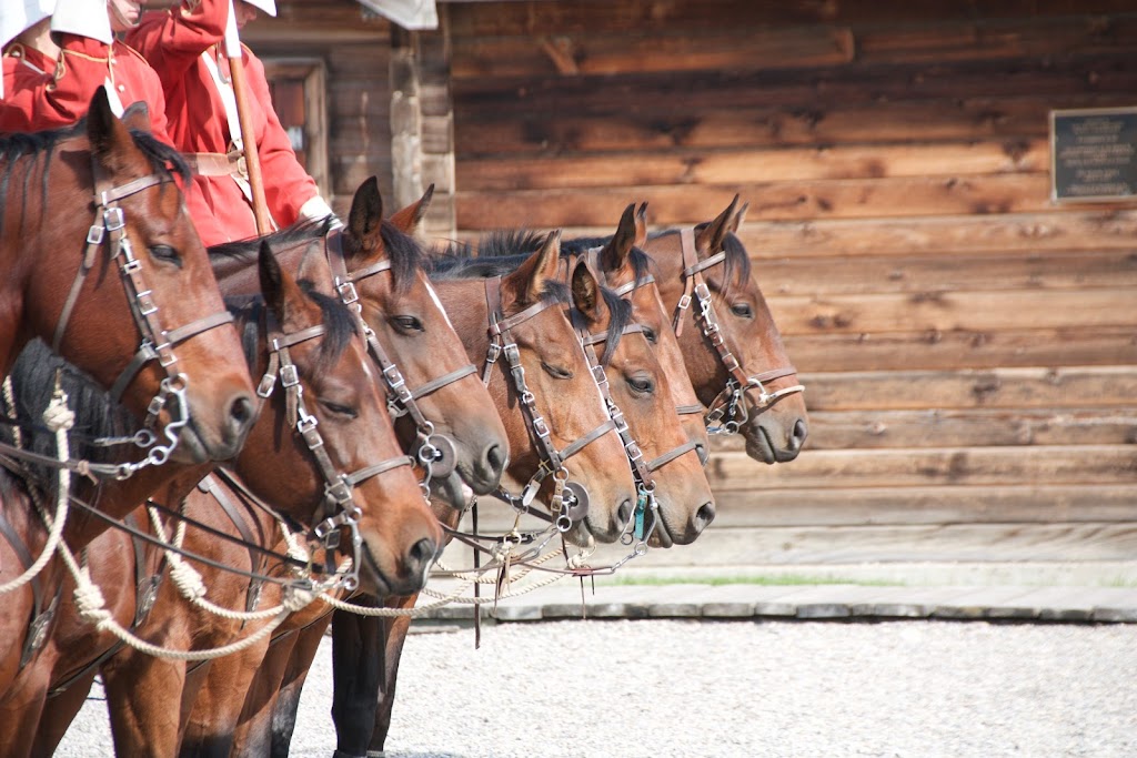 The Fort Museum | 219 25 St, Fort Macleod, AB T0L 0Z0, Canada | Phone: (403) 553-4703