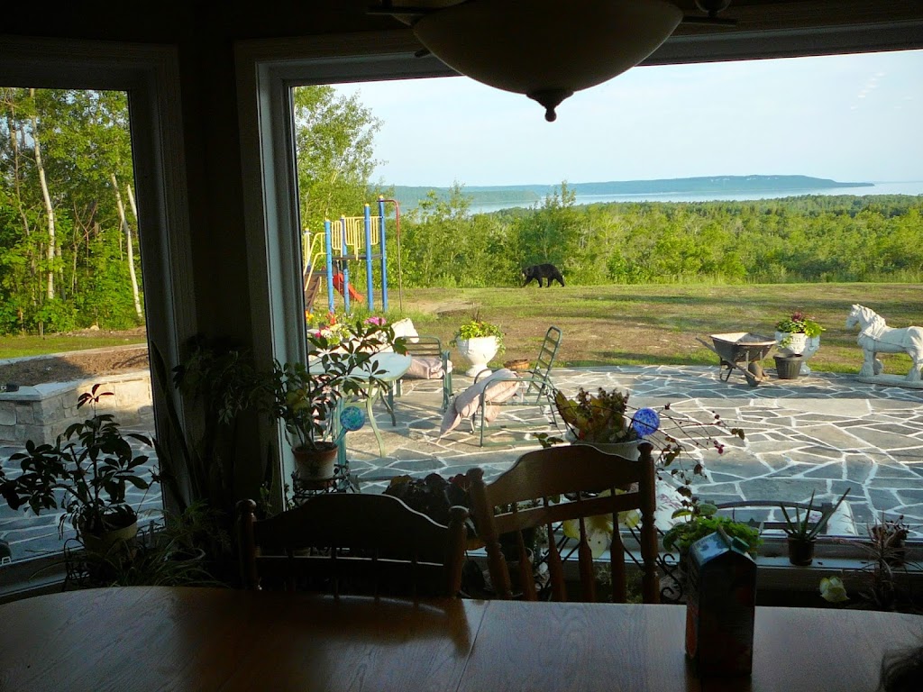 COZY CATS BED & BREAKFAST | Sydney Bay Rd, Ontario N0H 1X0, Canada | Phone: (519) 534-2273