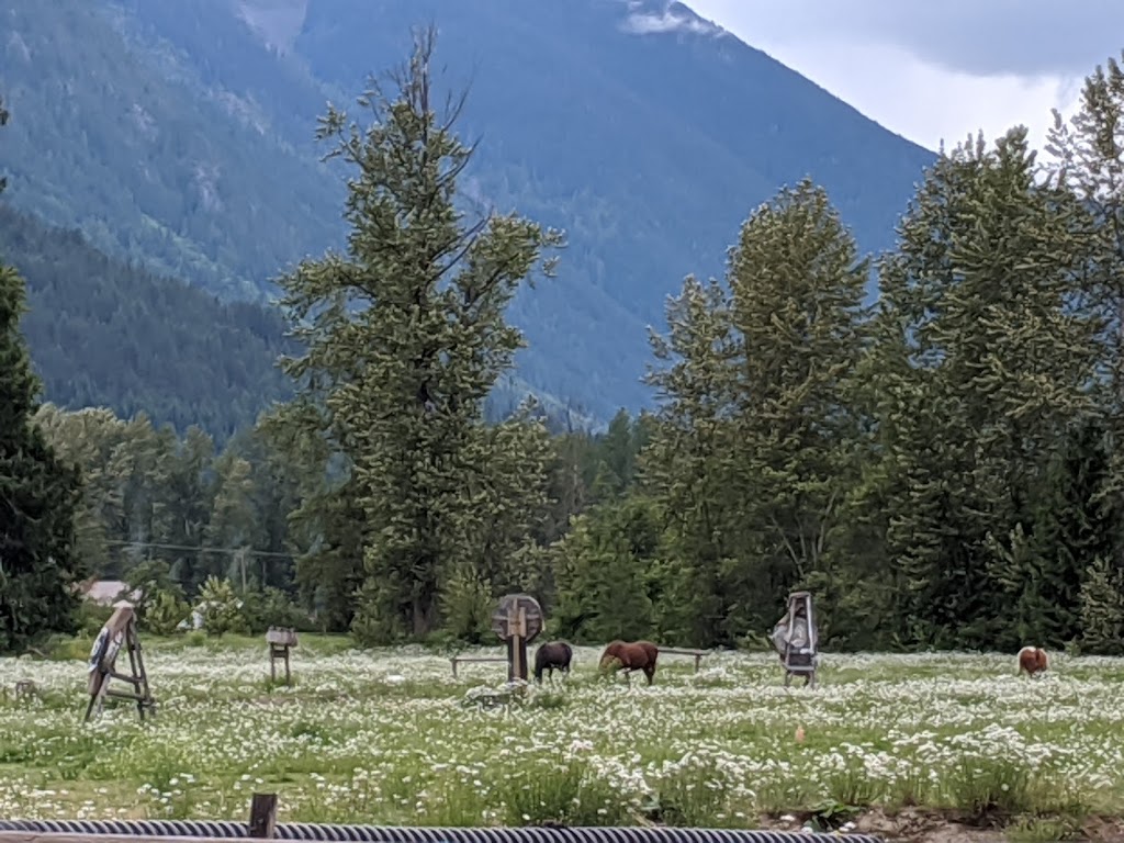 Borsos Torzs Horse Archery Club | Nelson Bar Rd, Mount Currie, BC V0N 2K0, Canada | Phone: (604) 894-6353