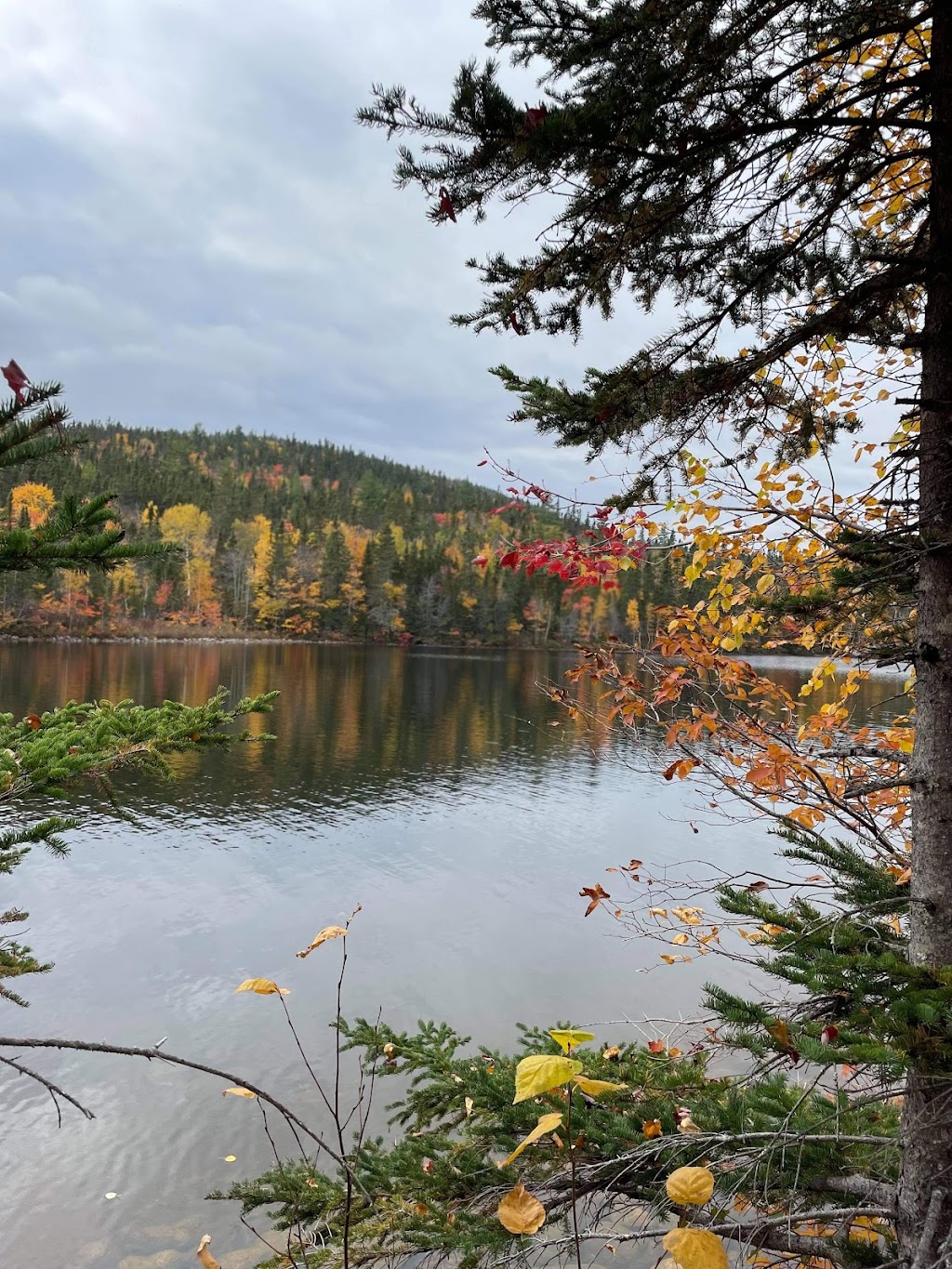 Domaine Chasse et Pêche Gaudias Foster Inc | 6 Lac du, Port-aux-Quilles, QC G0T 1X0, Canada | Phone: (418) 638-2347