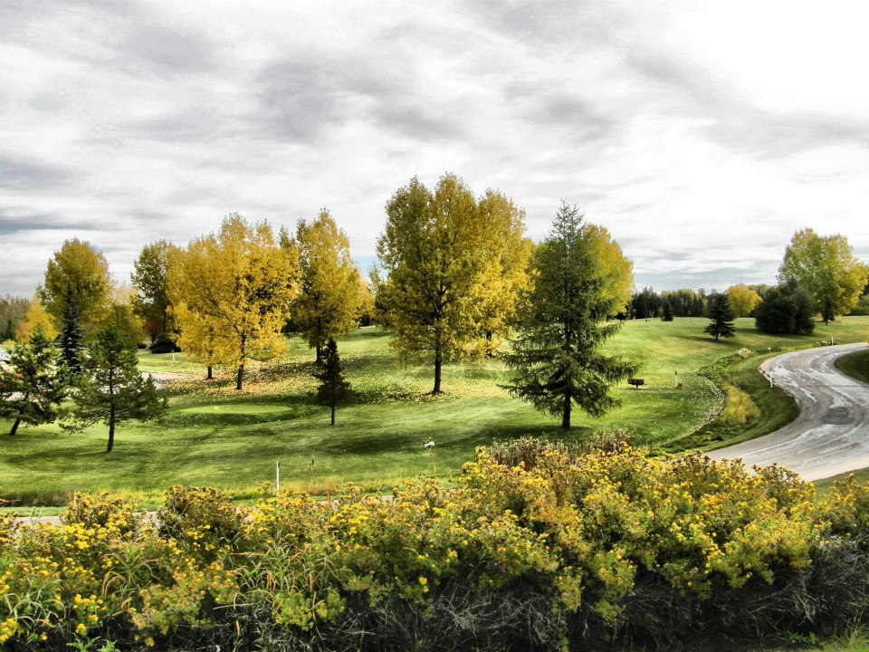 River Bend Golf & Recreation Area | 3800 River Bend Drive, Red Deer, AB T4P 0Y4, Canada | Phone: (403) 343-8311