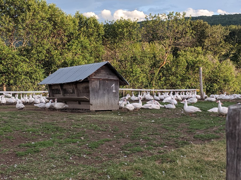 La Ferme Basque De Charlevoix | 813 Rue St Édouard, Saint-Urbain, QC G0A 4K0, Canada | Phone: (418) 639-2246