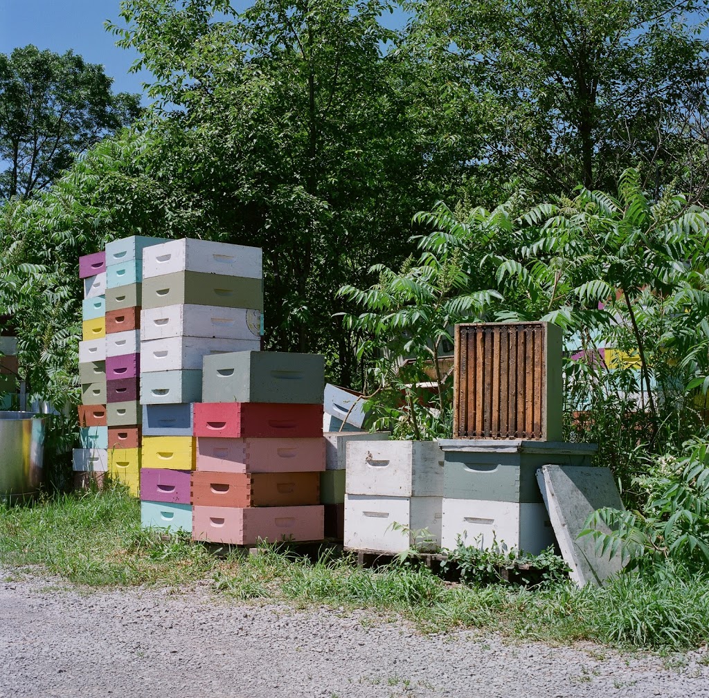 Honey Pie Hives & Herbals - open weekends & by appointment | 705 County Rd 24, Prince Edward, ON K0K 1P0, Canada | Phone: (613) 476-3216