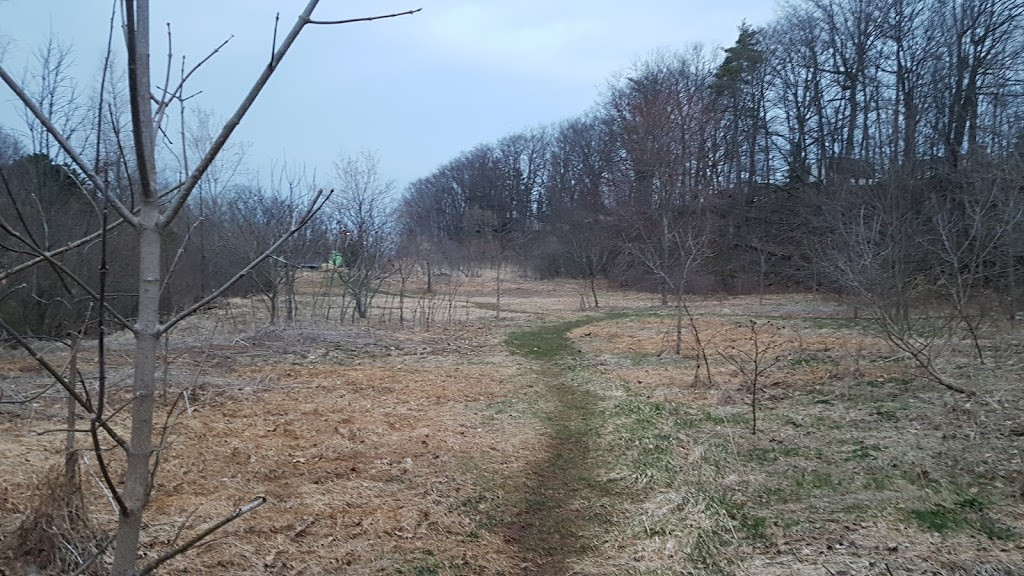 Stradelbauer Ravine Trail | Beamsville, Lincoln, ON L0R 1B8, Canada