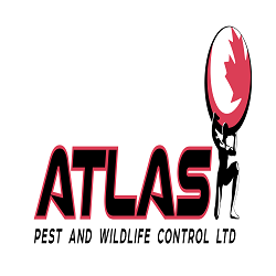 Atlas Pest And Wildlife Control Ltd | 3033 King George Blvd #20, Surrey, BC V4P 1B8, Canada | Phone: (604) 503-5444