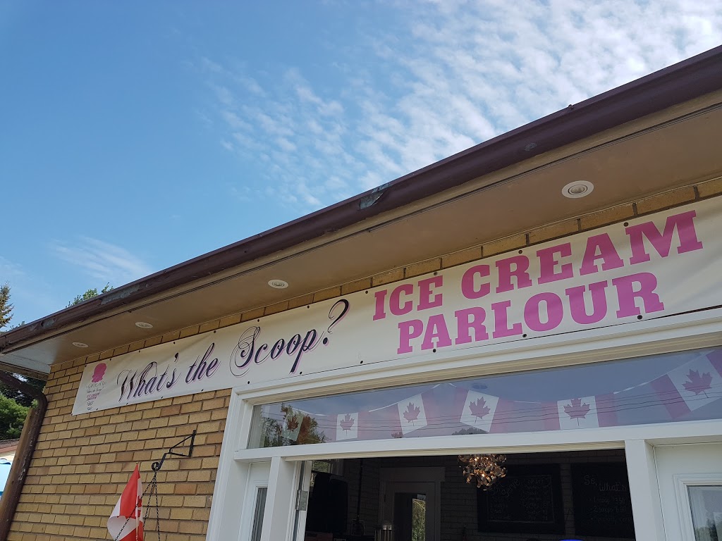 Whats the Scoop? | 5 Downey Ave, Alliston, ON L9R 1J7, Canada