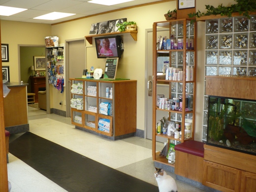 FAIRVIEW DRIVE PET HOSPITAL | 403 Fairview Dr Unit 7, Brantford, ON N3R 6T2, Canada | Phone: (519) 753-7257