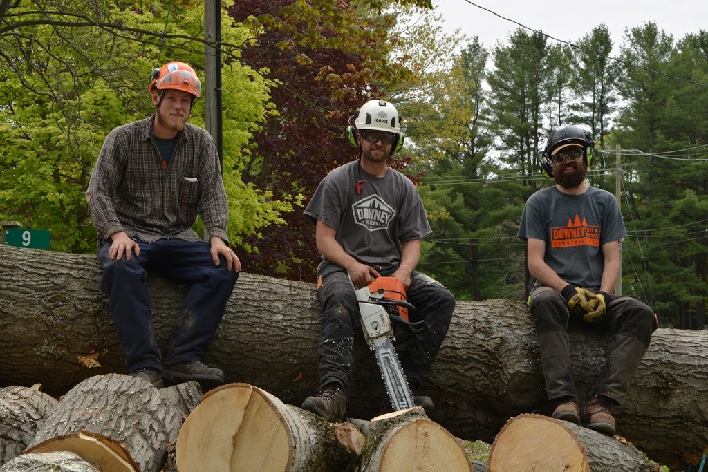 Downey Tree Service | 2781 Ronald Rd, Minesing, ON L9X 1H5, Canada | Phone: (705) 309-7926