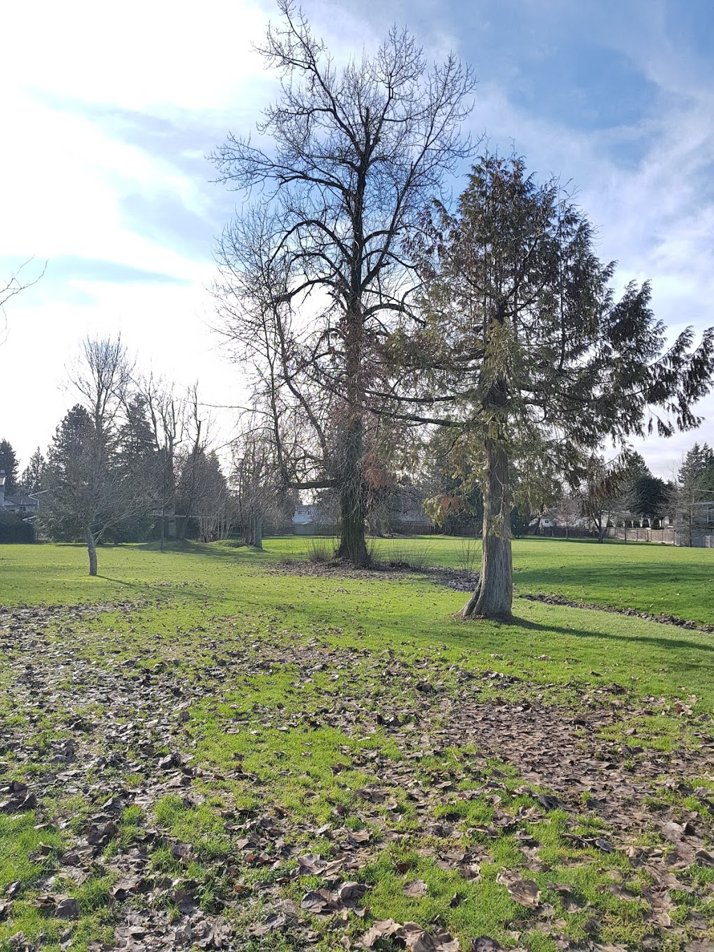 Delview Dog Park | Delta, BC V4C, Canada