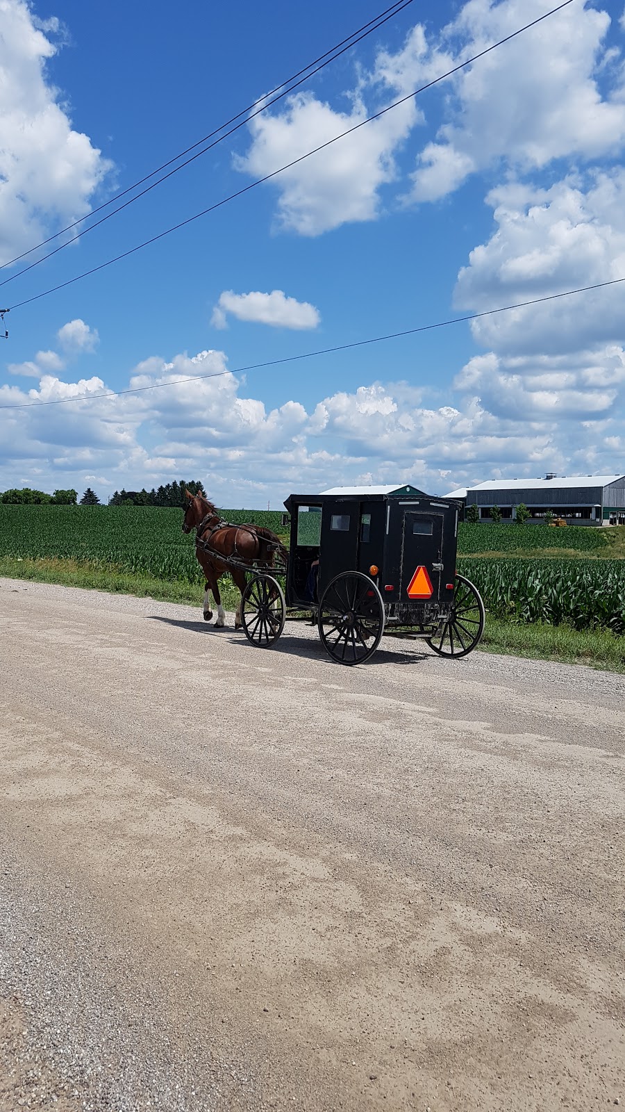 Rolling Acres Farm | 1235 Martin Creek Rd, Waterloo, ON N2J 3Z4, Canada | Phone: (519) 664-1337