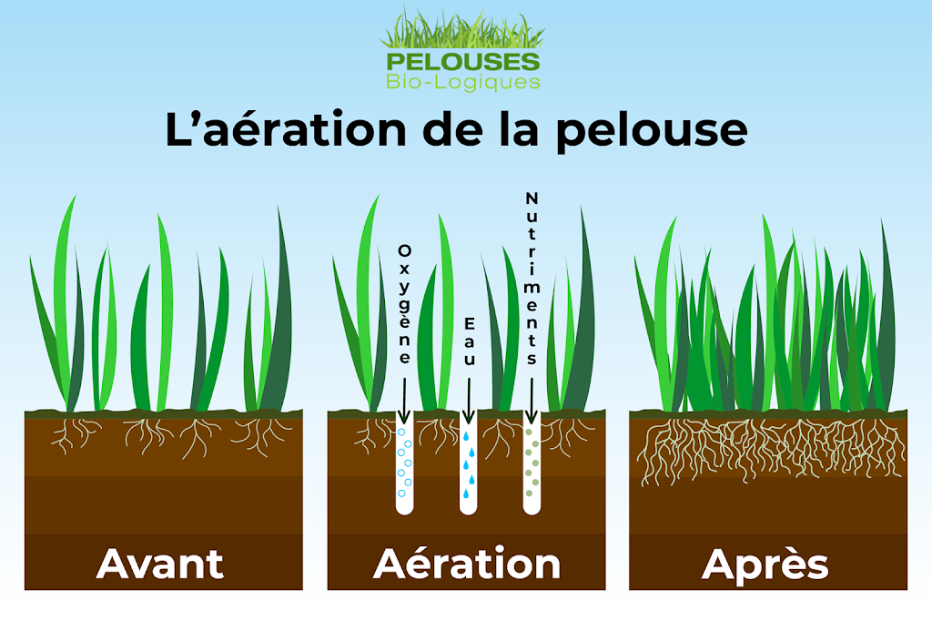 Pelouses Bio-Logiques | 2388 Av. de la Rotonde, Charny, QC G6X 2M1, Canada | Phone: (418) 834-1313