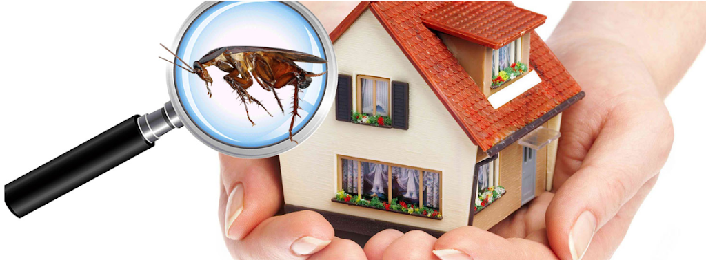 Ensure Pest Control Inc. | 2247 Hurontario St, Mississauga, ON L5A 2G2, Canada | Phone: (647) 961-7426