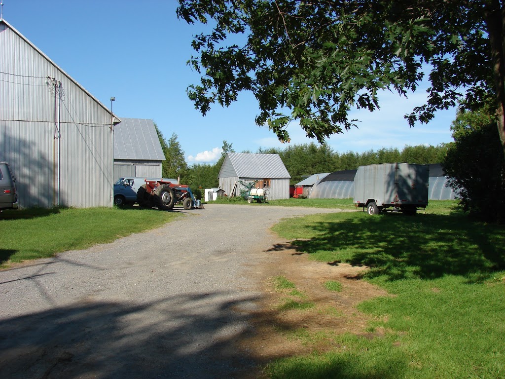 Bleuetière et fraisière, Ferme G. Desmarais | 190 Rang du Chenal Tardif, Pierreville, QC J0G 1J0, Canada | Phone: (450) 568-5200