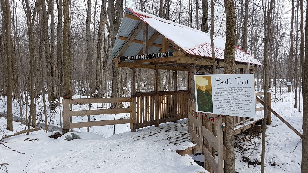 Blyth Creek Maple Farm | 42232 Moncrieff Rd, Blyth, ON N0M 1H0, Canada | Phone: (519) 357-7558