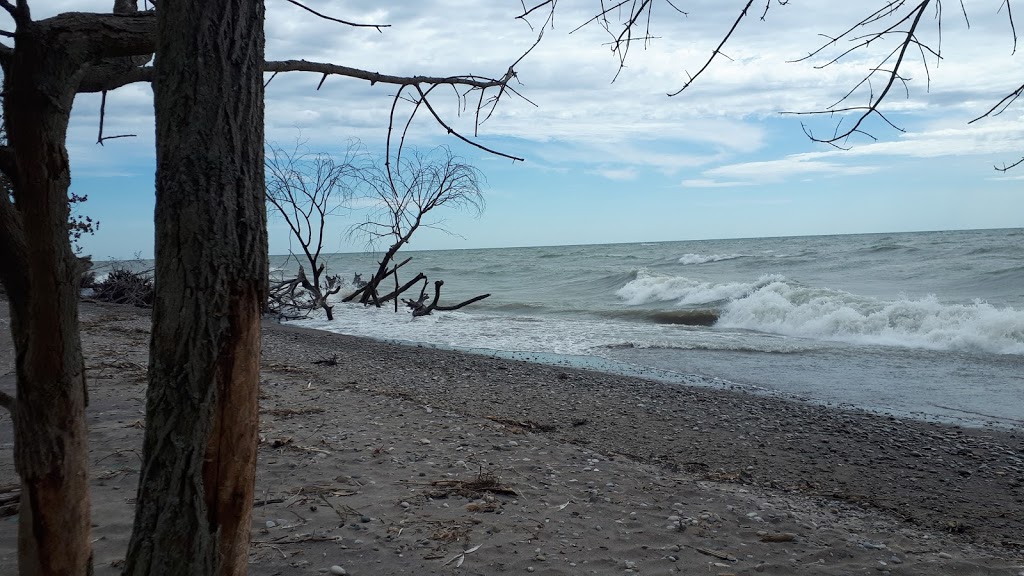 South Point Trail | Gardiner, Morpeth, ON N0P 1X0, Canada