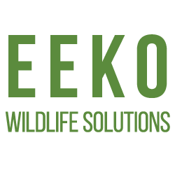 Eeko Wildlife Solutions | 415 Rossland Rd W, Oshawa, ON L1J 3G9, Canada | Phone: (289) 387-4685