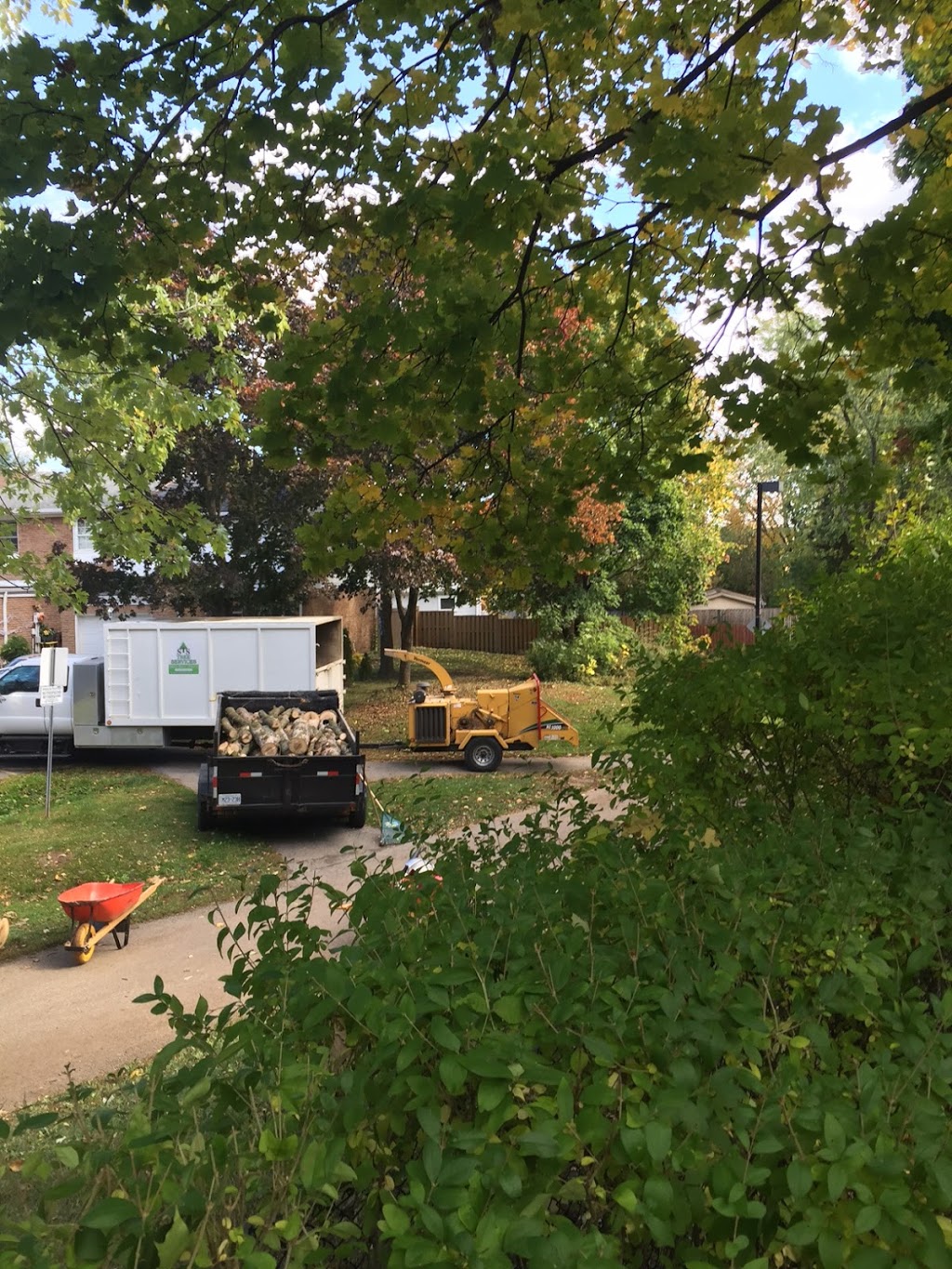 STS Tree Services | 7531 Ninth Line, Mississauga, ON L5N 0C1, Canada | Phone: (905) 821-7877