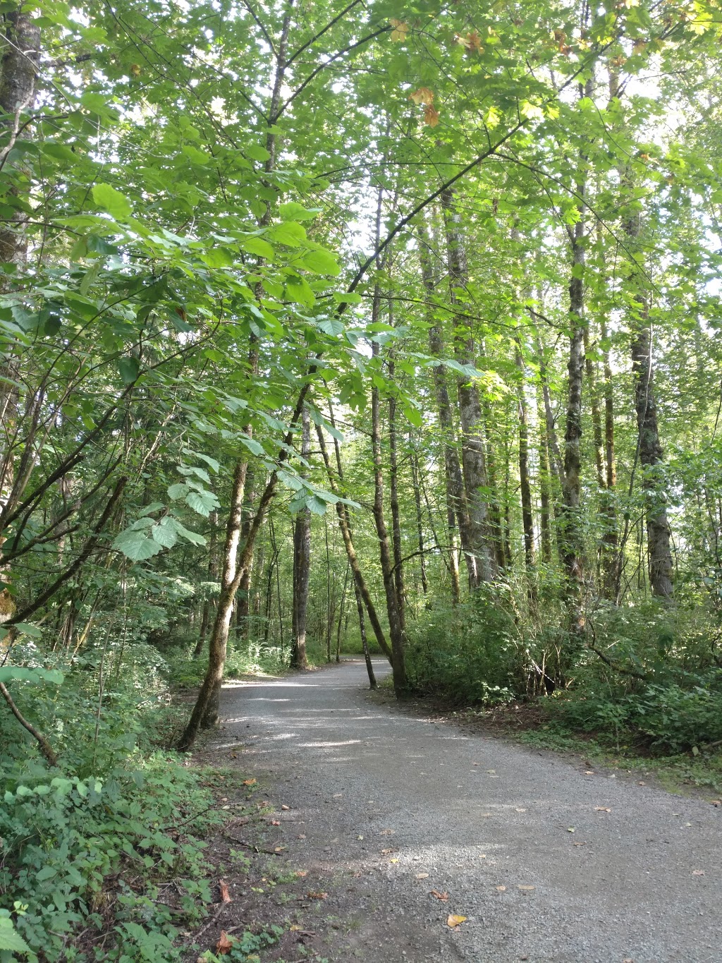 Brae Island Regional Park | 9451 Glover Rd, Langley City, BC V1M 2R9, Canada | Phone: (604) 432-6200