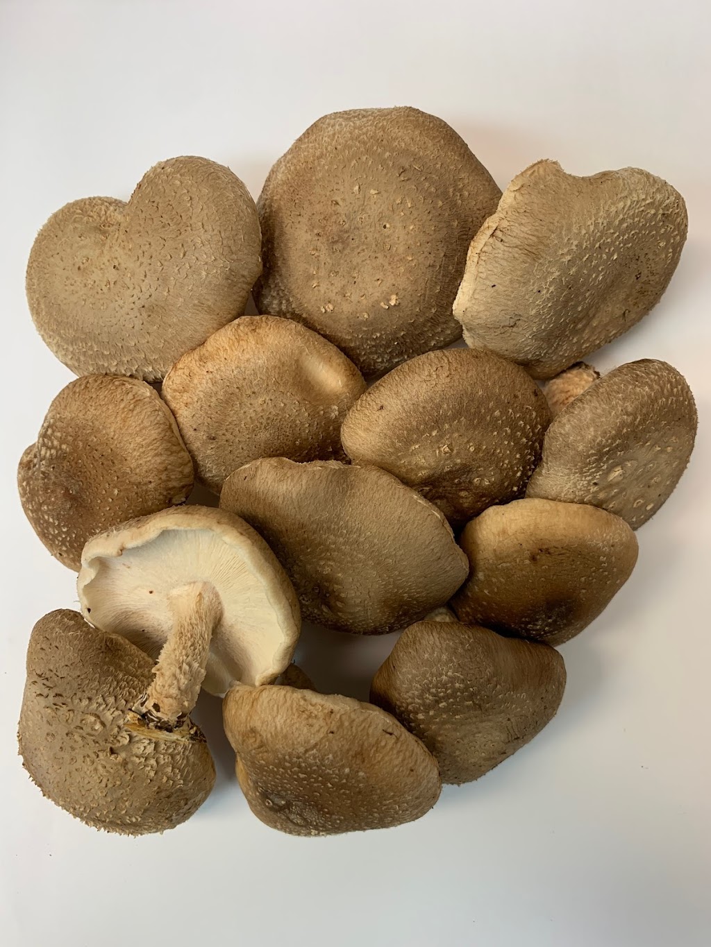 Unionville Mushroms far | 5395 19th Ave, Markham, ON L3P 3J3, Canada | Phone: (905) 640-2892