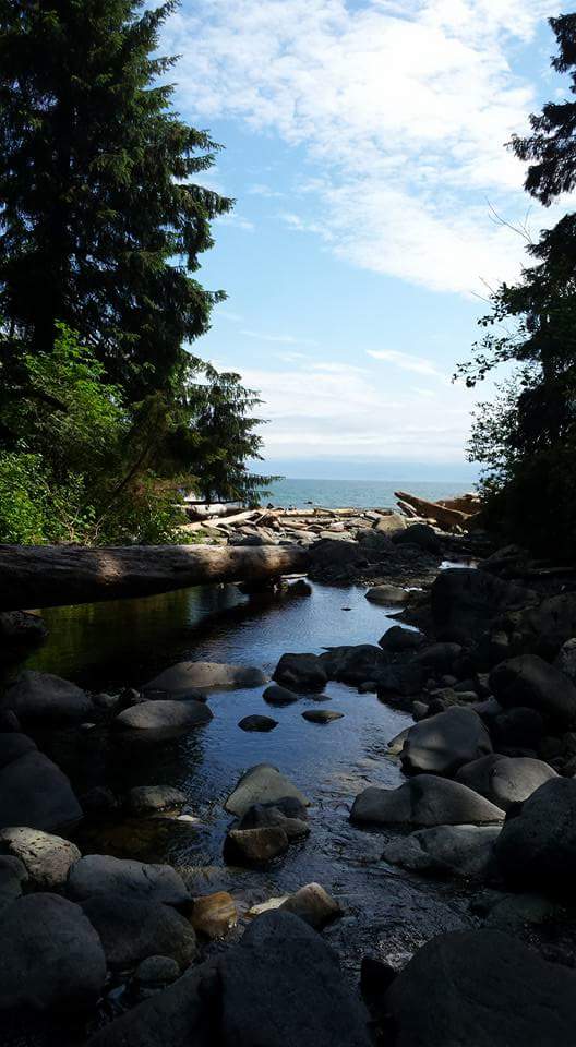 Juan de Fuca Trail Trailhead (Southeast / China Beach Terminus) | BC-14, Juan de Fuca, BC V0S, Canada