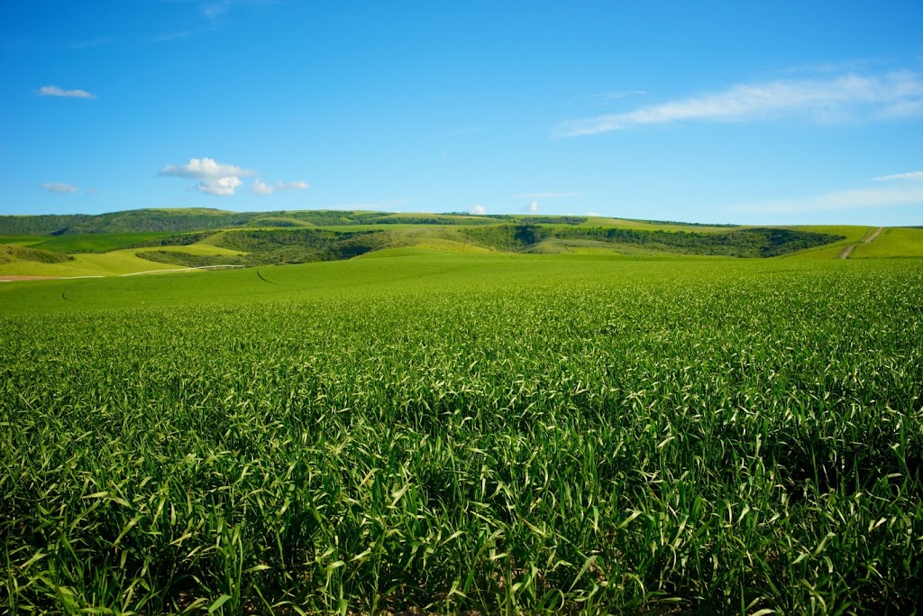 Nutrient Management Strategies and Plans | 8052 Side Rd 20 RR#3, Fergus, ON N1M 2W4, Canada | Phone: (519) 831-2224