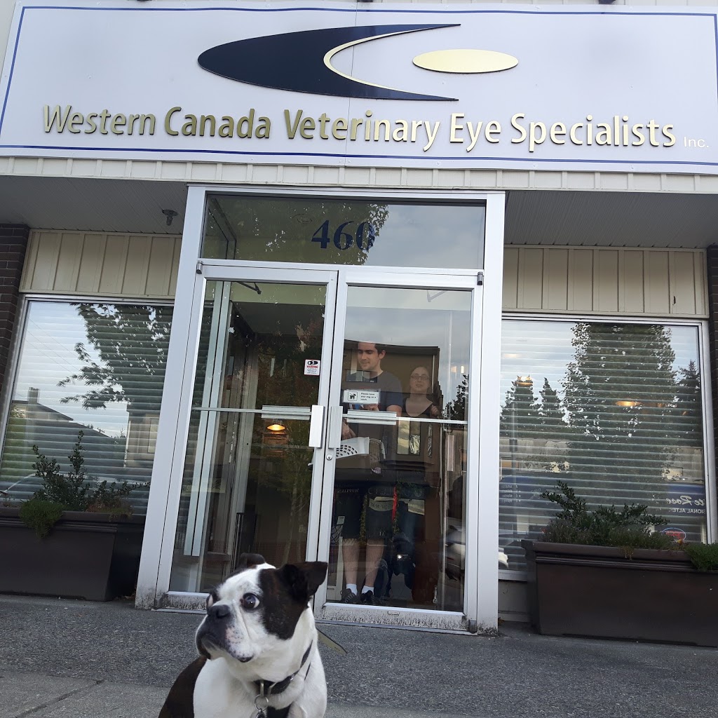 Western Canada Veterinary Eye Specialists | 460 E Columbia St, New Westminster, BC V3L 3X5, Canada | Phone: (604) 549-4944
